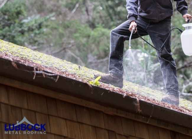 Worker spraying moss remover on roof